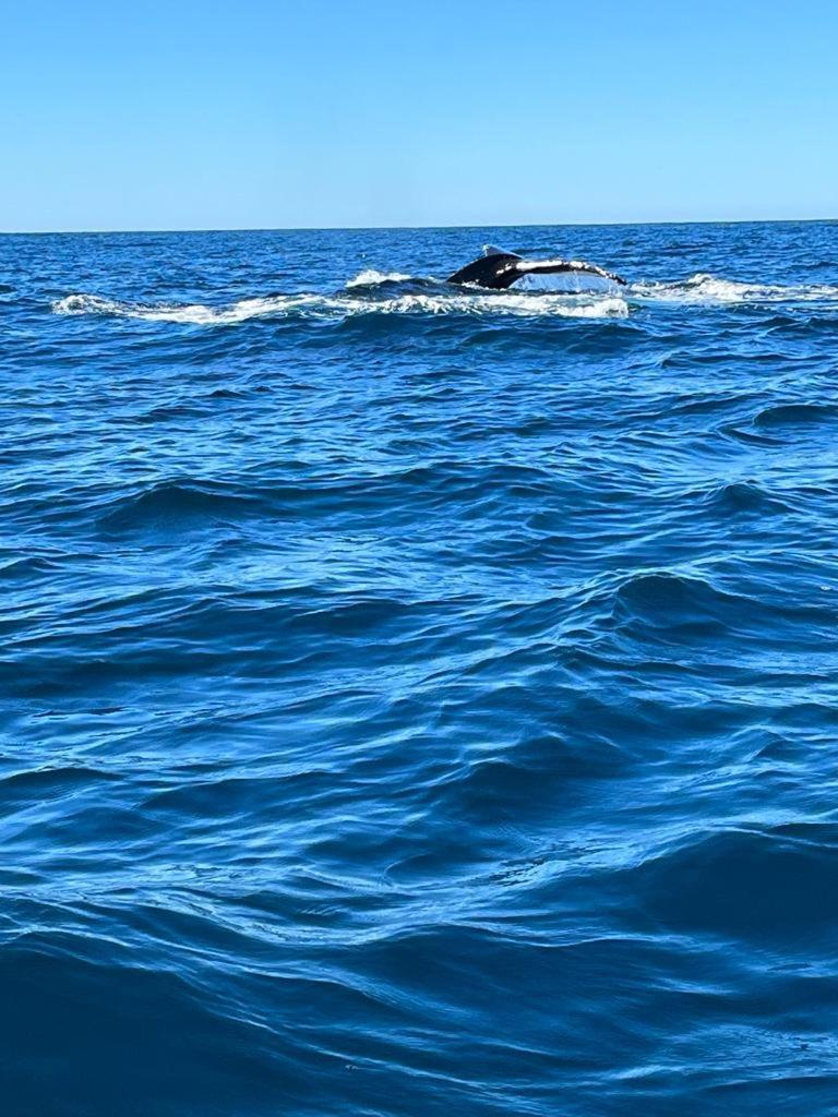 Hotel- Whale Tours And Sport Fishing Vista Mag-Bay Puerto San Carlos Экстерьер фото