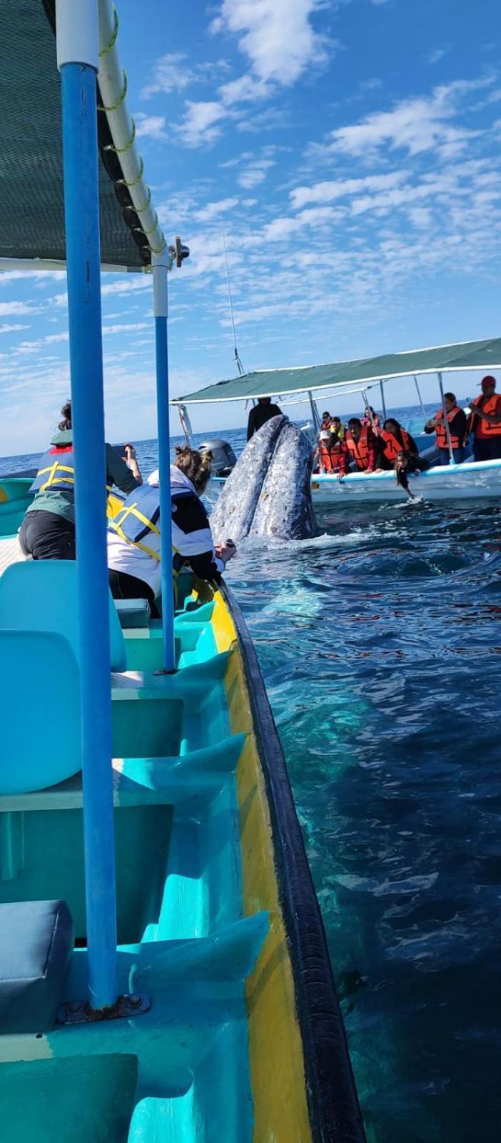 Hotel- Whale Tours And Sport Fishing Vista Mag-Bay Puerto San Carlos Экстерьер фото